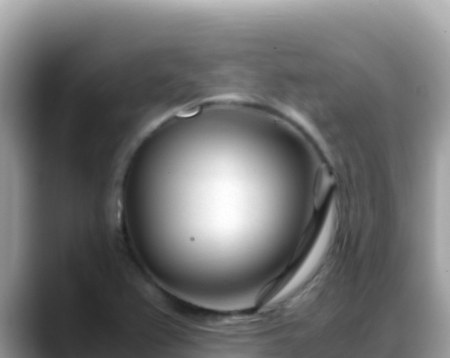 X0000088721367200706071611