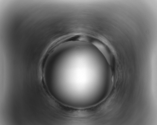 X0000088721368200706071611