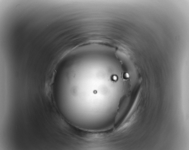 X0000088721369200706071611