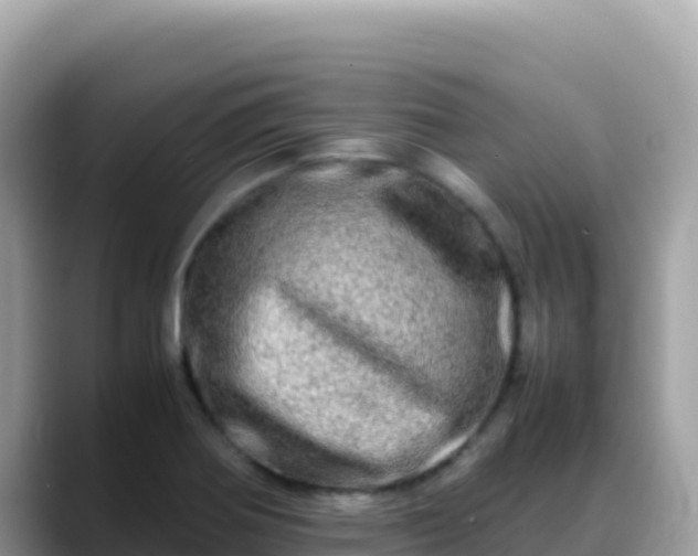 X0000088721370200706071611