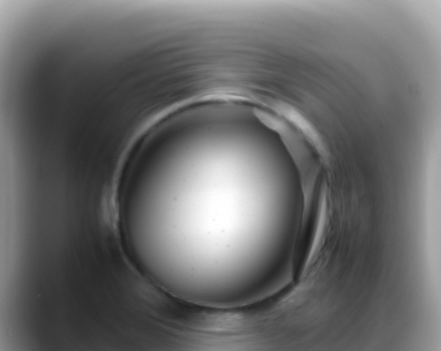 X0000088721372200706071611