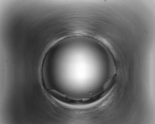 X0000088721373200706071611