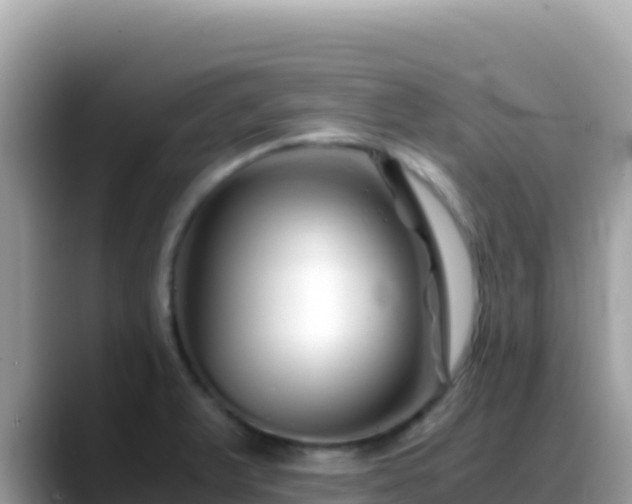 X0000088721375200706071611