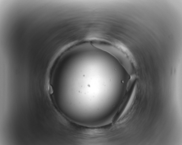 X0000088721376200706071611