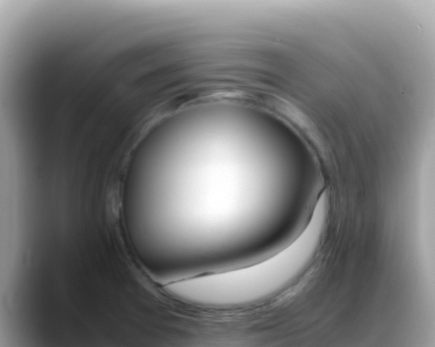 X0000088721377200706071611