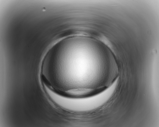 X0000088721379200706071611