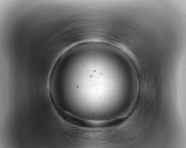 X0000088721380200706071611
