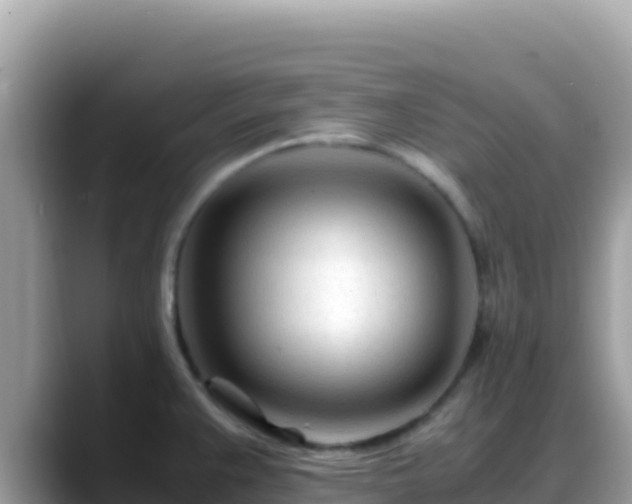 X0000088721383200706071611