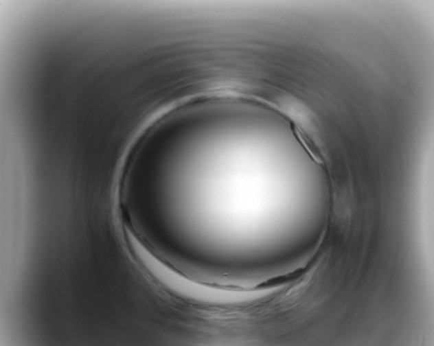X0000088721384200706071611