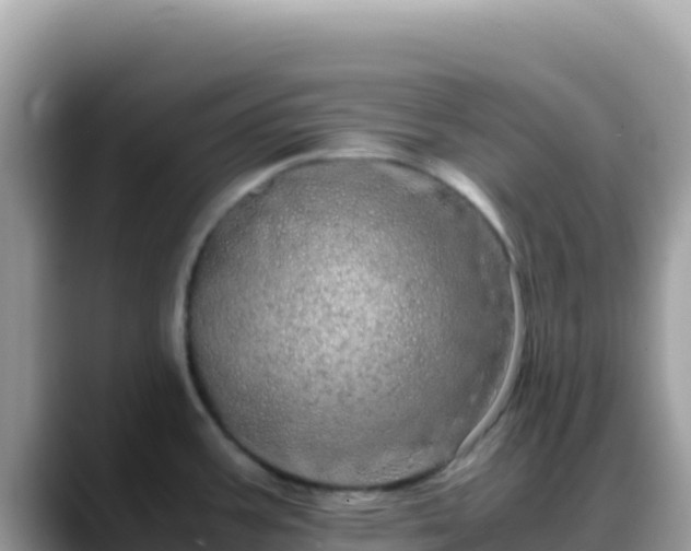 X0000088721387200706071611