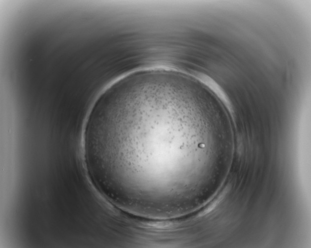X0000088721388200706071611