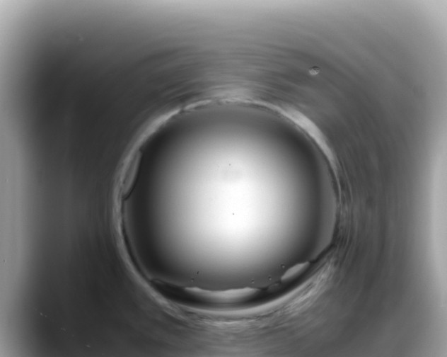 X0000088721389200706071611