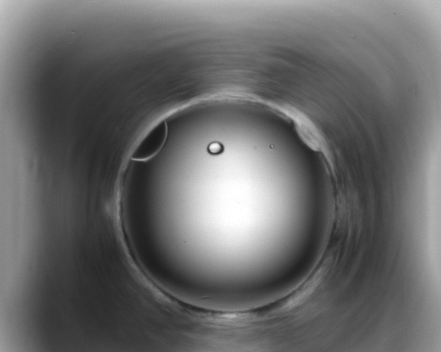 X0000088721390200706071611