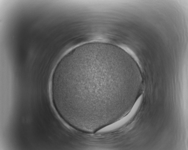 X0000088721391200706071611