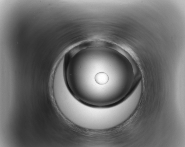 X0000088721392200706071611