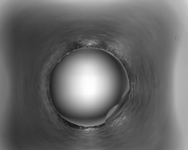 X0000088721393200706071610