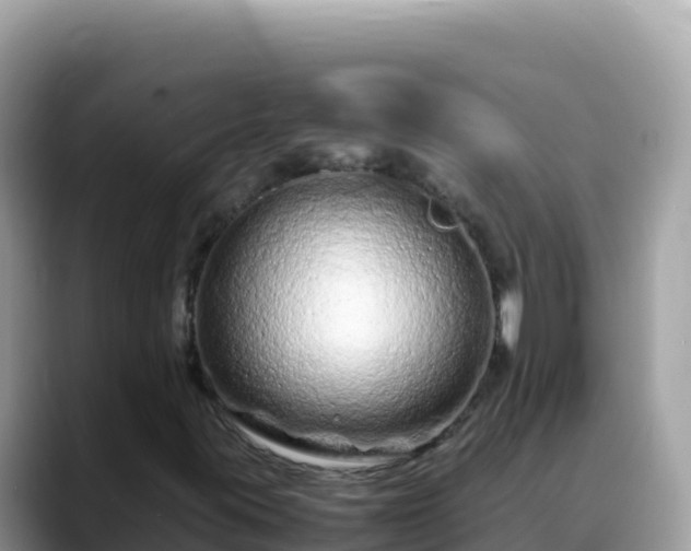 X0000088721395200706071610