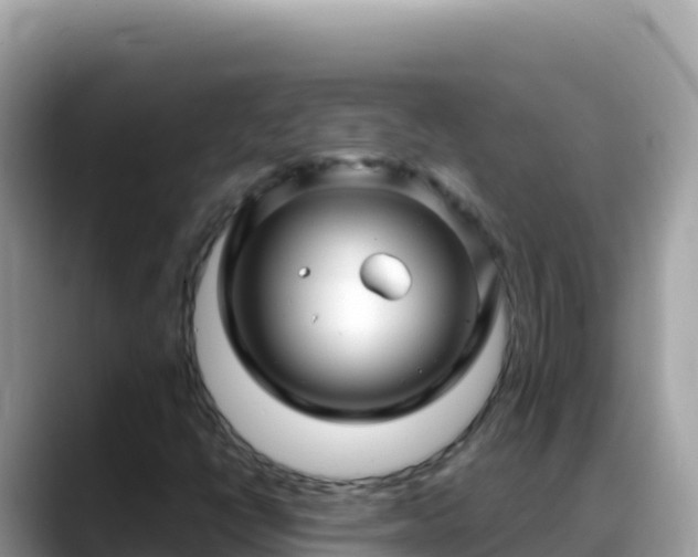 X0000088721398200706071610