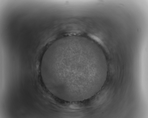 X0000088721399200706071610