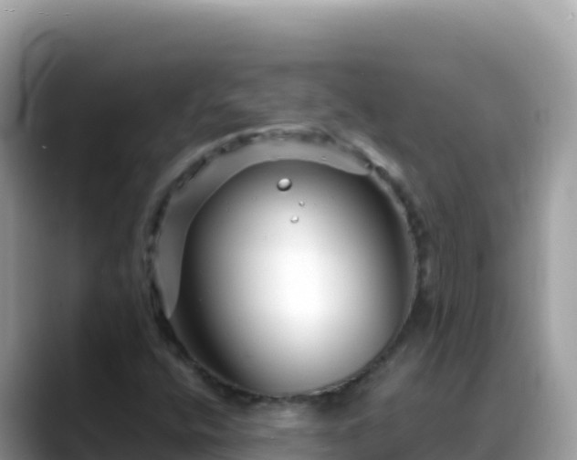 X0000088721400200706071610
