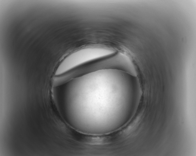 X0000088721401200706071610