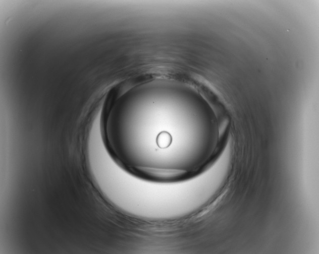 X0000088721402200706071610