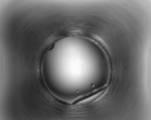 X0000088721403200706071610