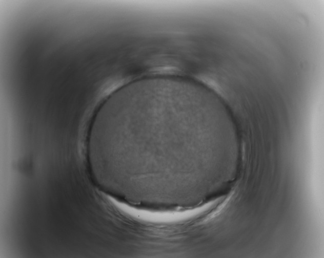 X0000088721405200706071610