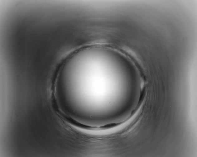 X0000088721406200706071610
