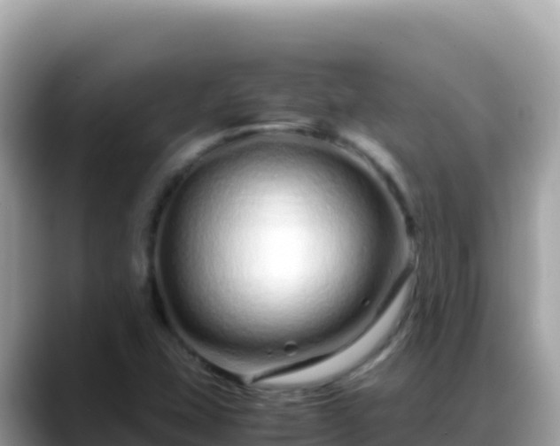 X0000088721407200706071610