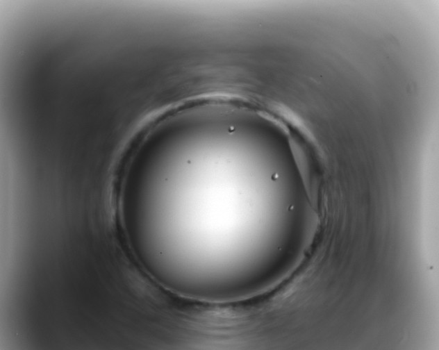 X0000088721408200706071610