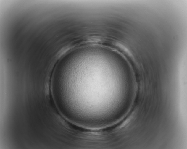 X0000088721409200706071610