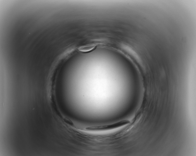 X0000088721411200706071610