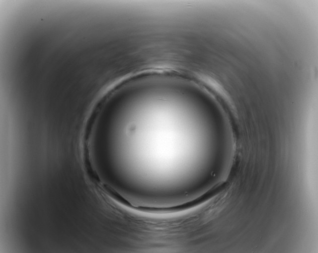 X0000088721412200706071610