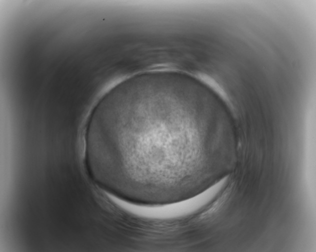 X0000088721413200706071611