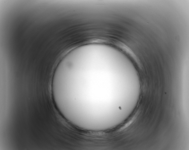 X0000088721417200706071611