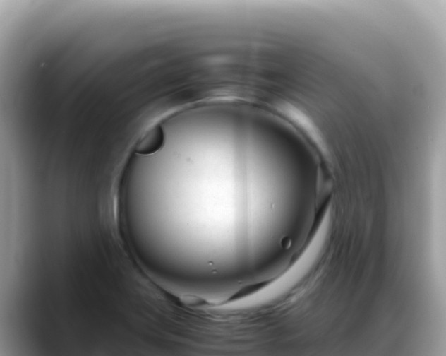 X0000088721419200706071611