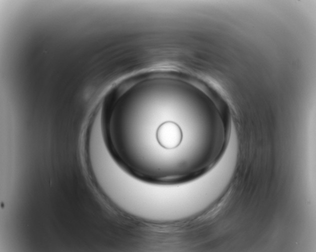 X0000088721422200706071611