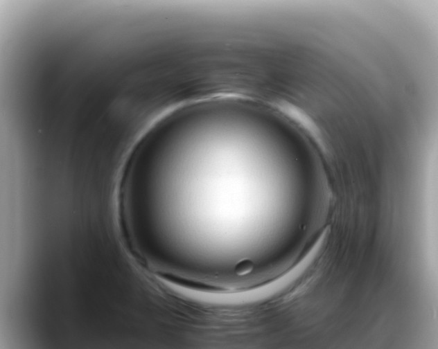 X0000088721423200706071611