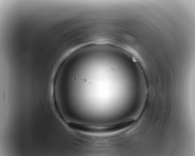 X0000088721424200706071611