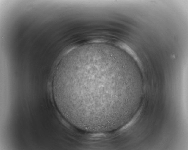 X0000088721425200706071611