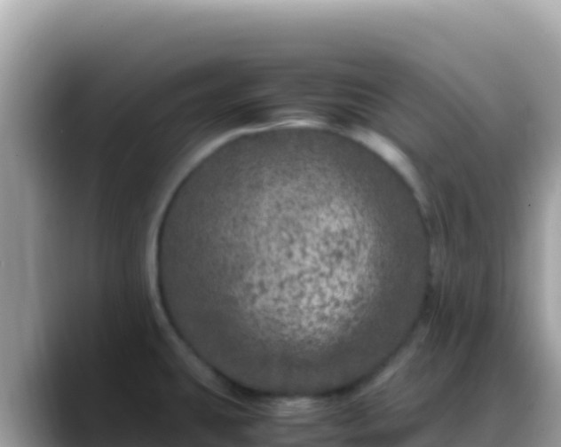 X0000088721431200706071611