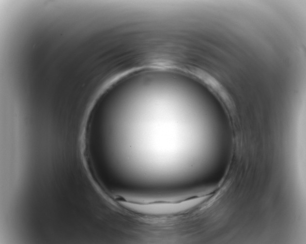 X0000088721432200706071611