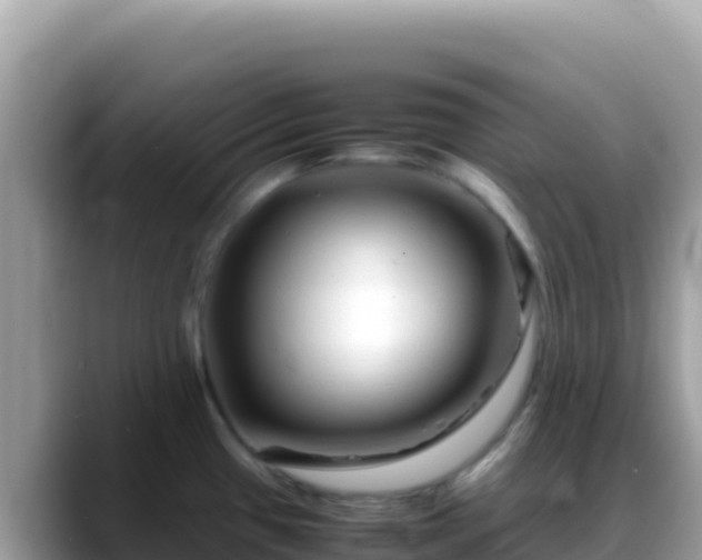 X0000088721433200706071611