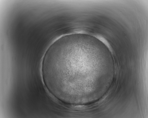 X0000088721439200706071611