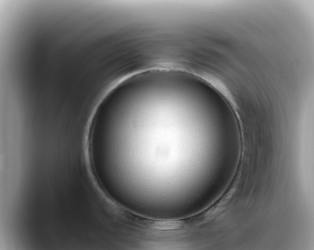 X0000088721440200706071611