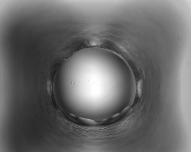 X0000088721443200706071610