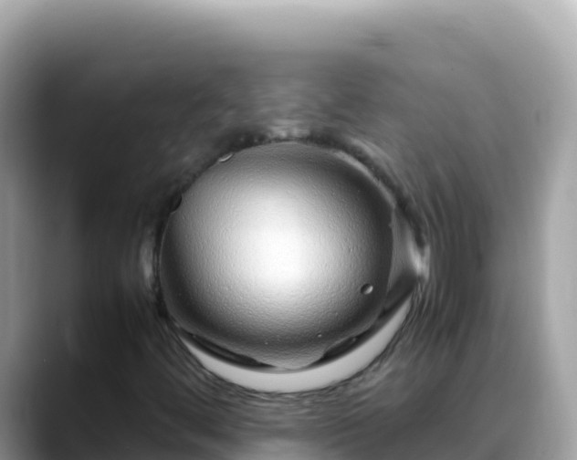 X0000088721444200706071610
