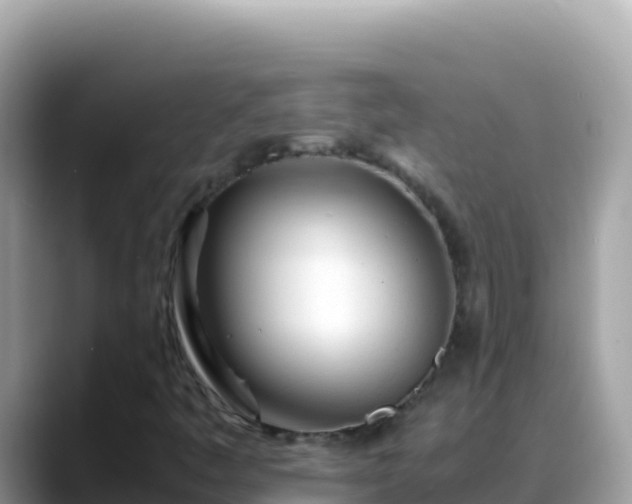 X0000088721445200706071610