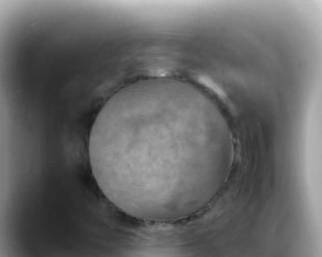 X0000088721446200706071610